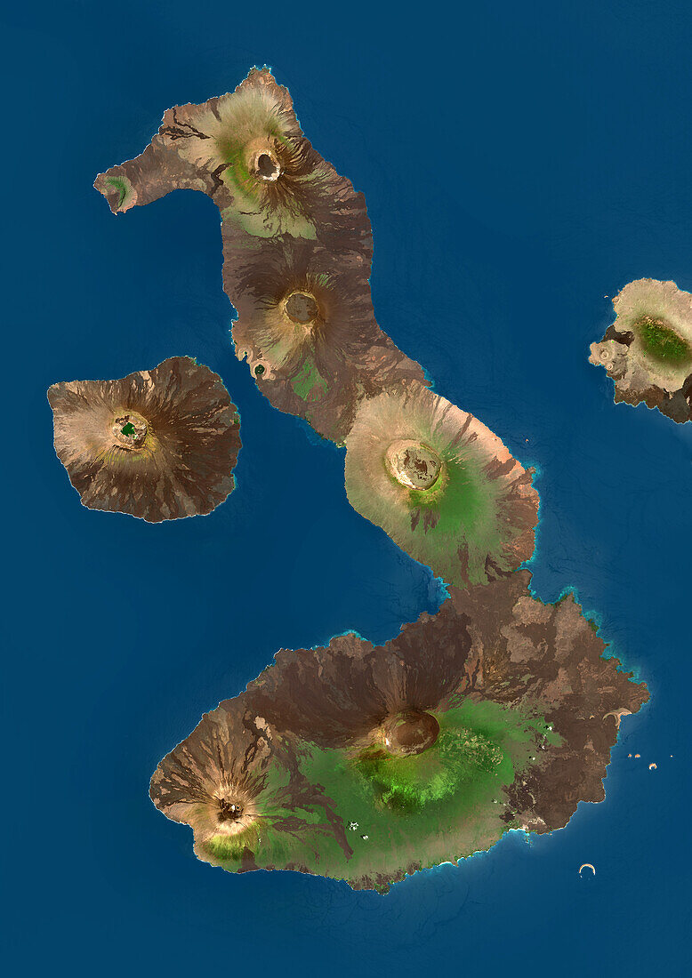 Isabela and Fernandina Islands, Galapagos, satellite image