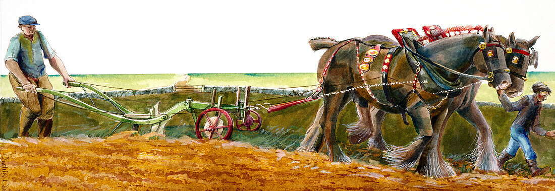Ploughing, illustration