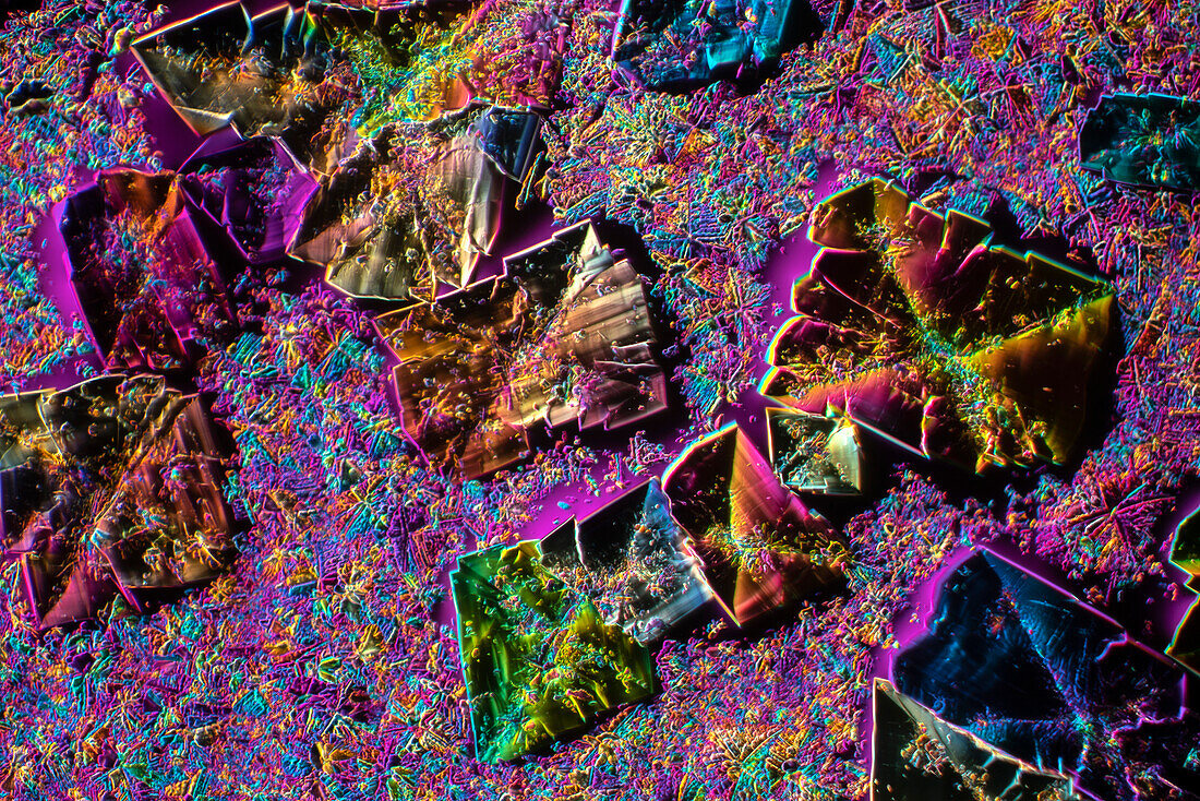 Epsom salt crystals, light micrograph