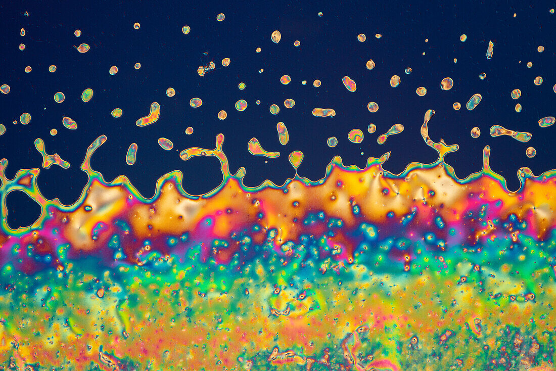 Phase transition in liquid crystal, light micrograph