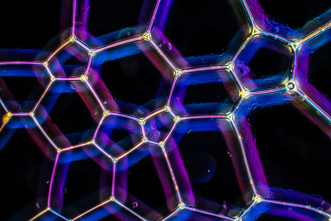 Polygonal lattice in shampoo, light micrograph