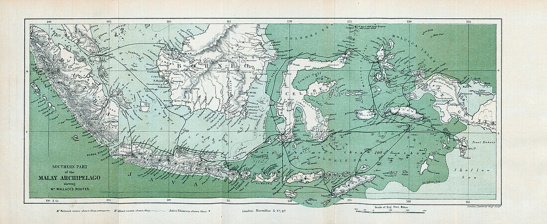 Alfred Russel Wallace's route around the Malay Archipelago, 19th century map
