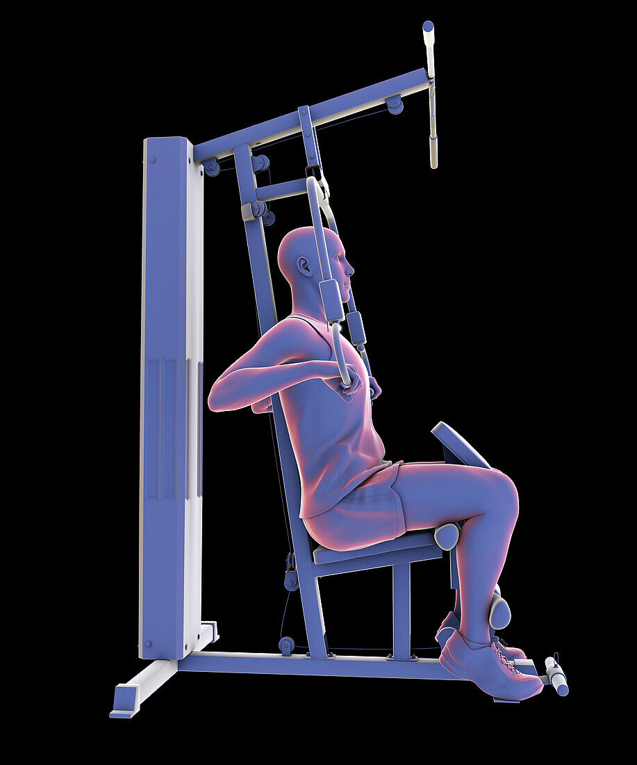 Man training on a hammer strength machine, illustration