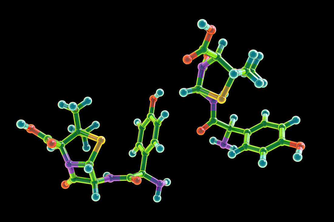 Amoxicillin drug molecule, illustration