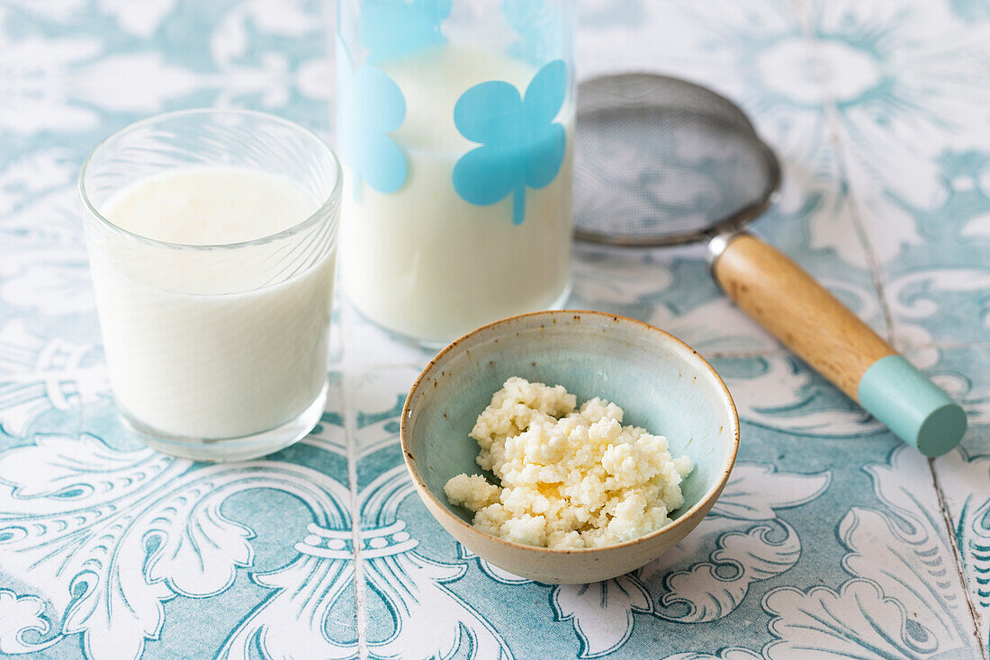 Selbstgemachter Kefir aus Kefir-Knollen und Milch (vegetarisch)