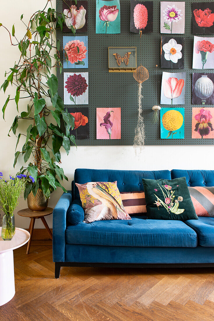 Blue velvet sofa with colorful cushions and perforated panel with flower pictures