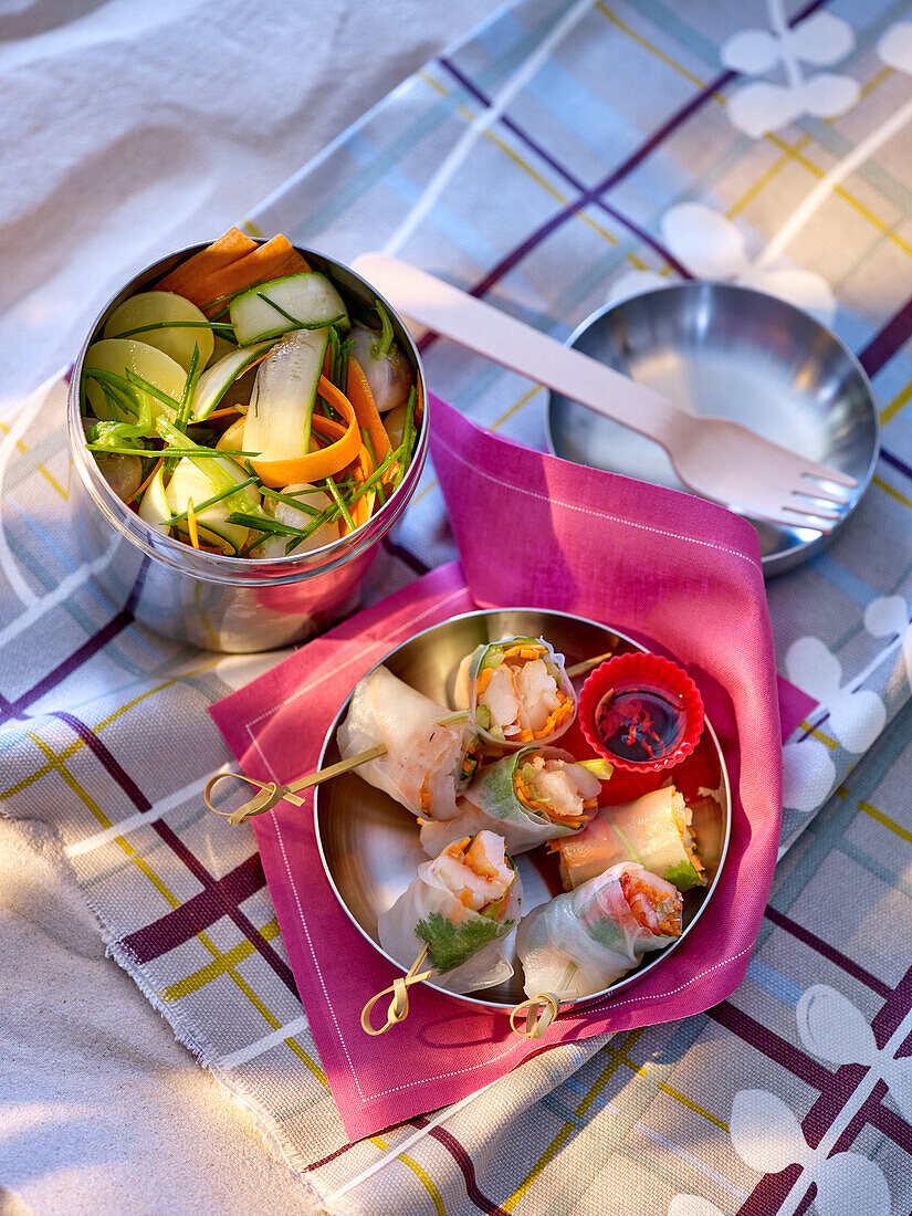 Picknick mit Sommerröllchen und Gemüsesalat