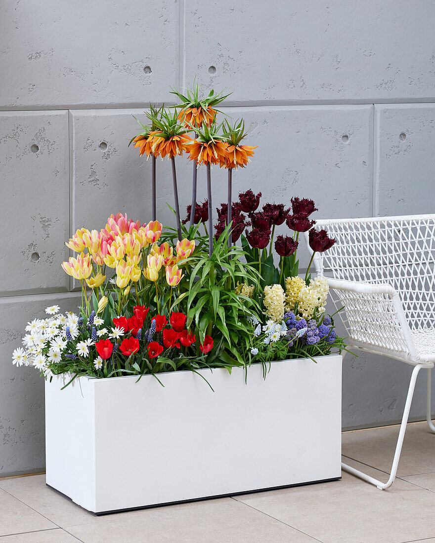 Spring container