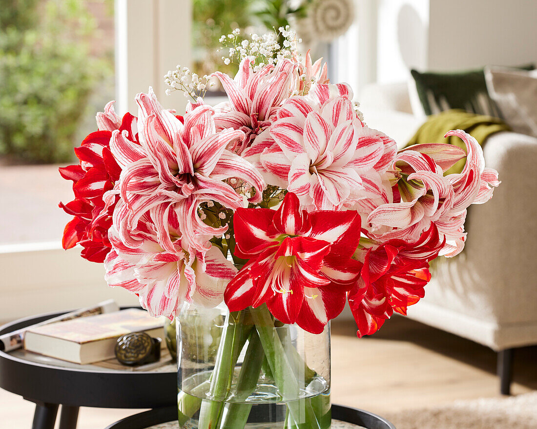 Hippeastrum bouquet