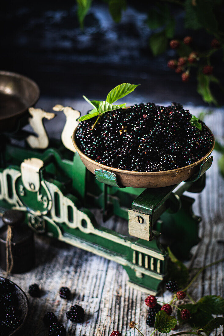 Frische Brombeeren mit Blättern auf einer alten Vintage-Waage