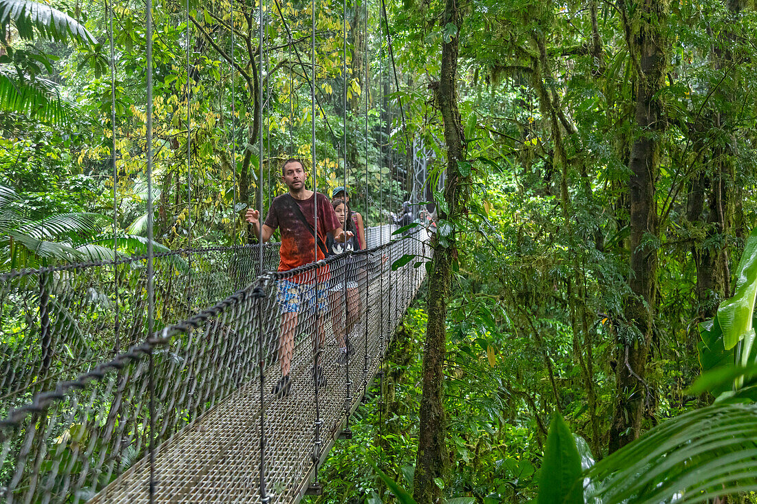 Tourists crossing a suspension bridge in a rainforest