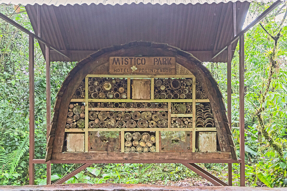 Insect shelter, Mistico Park, Costa Rica