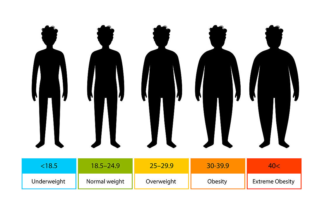 Body mass index for children, illustration