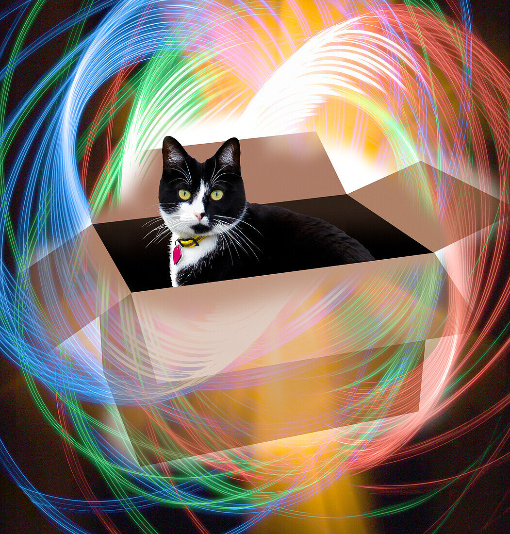 Schrodinger's cat, composite illustration