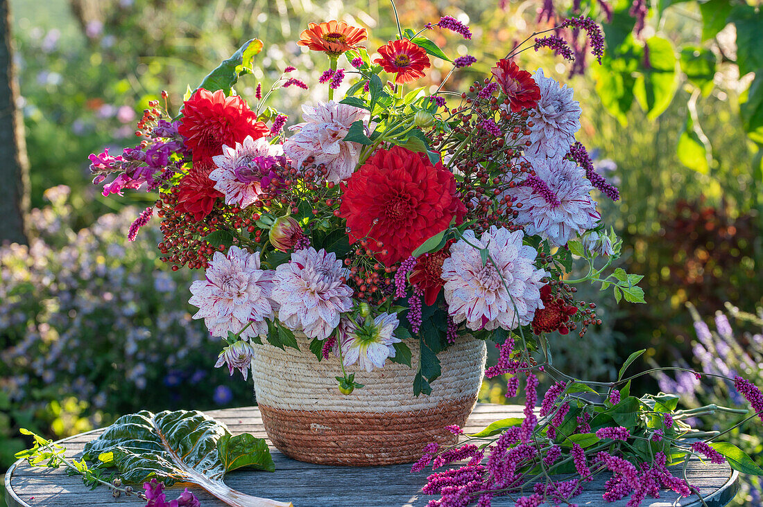 Blumengesteck aus Dahlien (Dahlia), Knöteriche (Persicaria), Zinnien (Zinnia), Hagebutten und Büschelrose (Rosa multiflora)