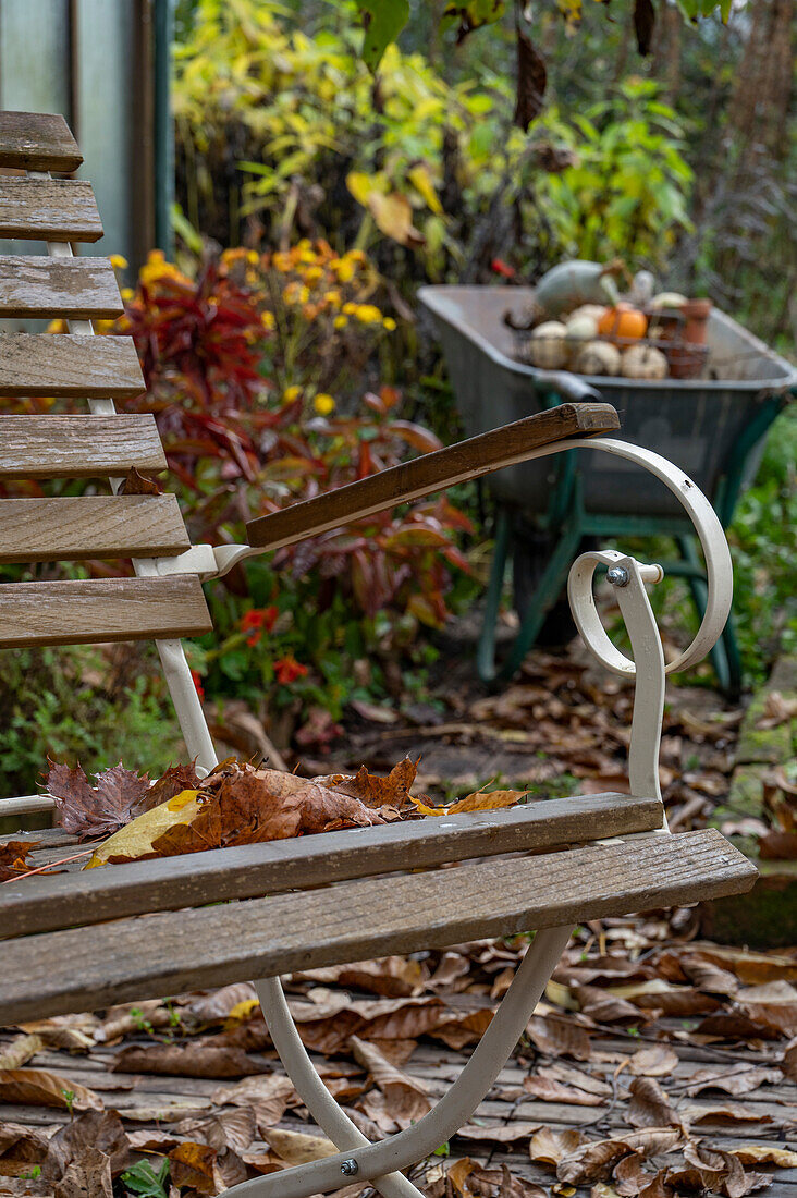 Gartenbank in herbstlichem Garten