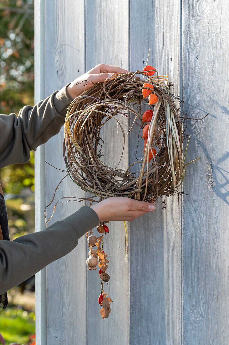 Wreath of prunings of vine and Chinese reed