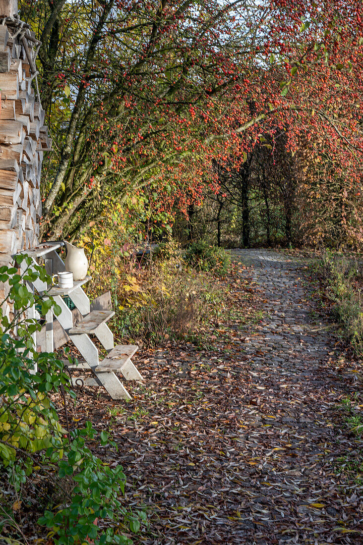 Herbstlicher Bauerngarten mit Zierapfelstrauch und rustikaler Dekoration auf Holztreppe