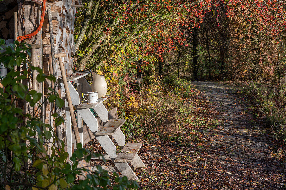 Autumn cottage garden with ornamental apple bush and rustic decoration on wooden stairs