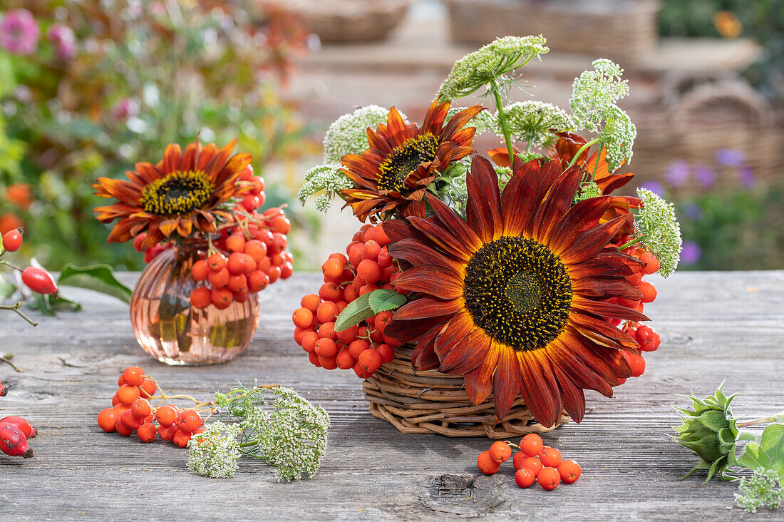 Blumenstrauß auf Terrassentisch mit Sonnenblume 'Samtkönigin', Vogelbeeren, Große Knorpelmöhre (Ammi majus)