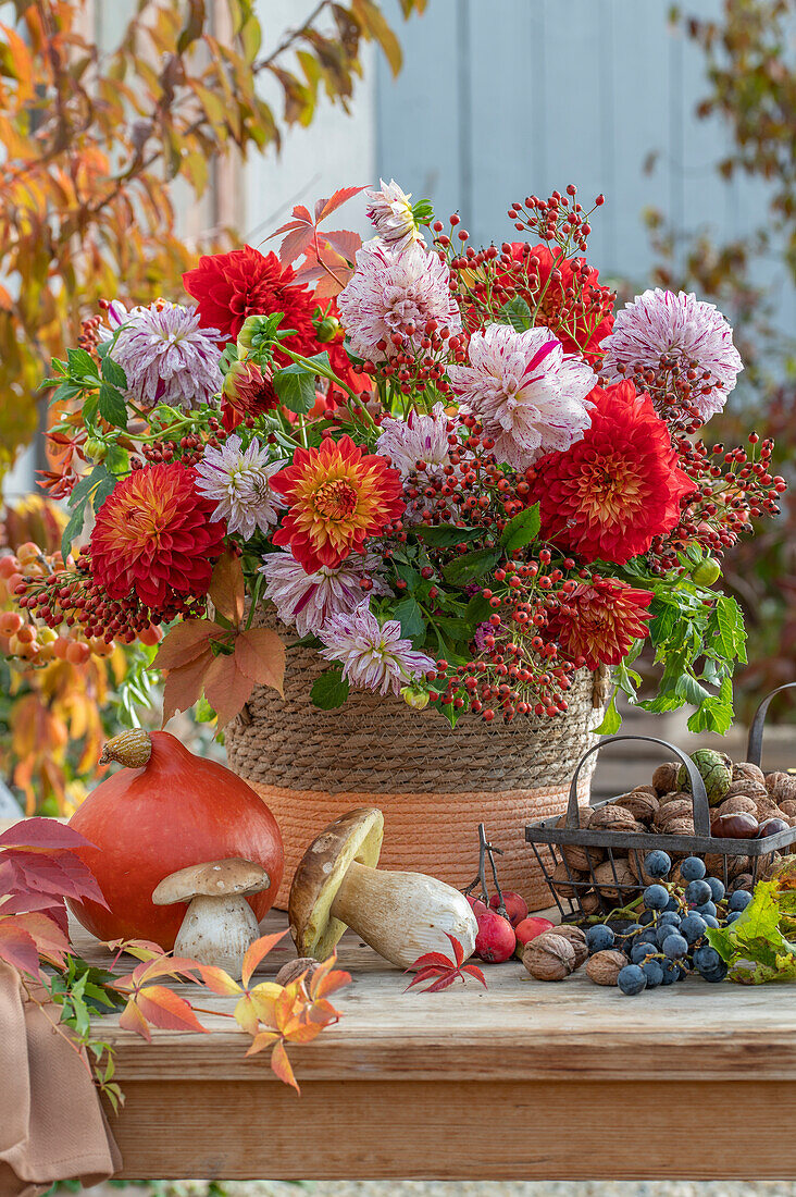 Herbstliche Tischdeko mit Blumentopf aus Dahlien (Dahlia), Rosen, Hagebutten, Pilzen und Kürbis