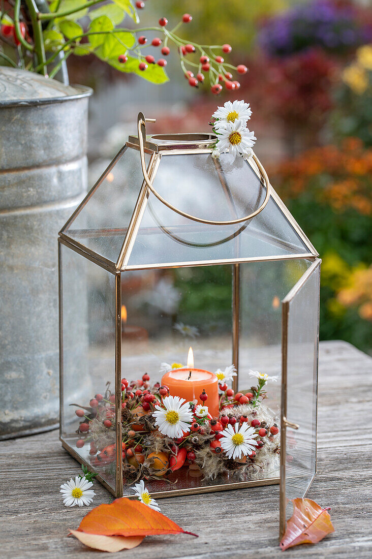 Lantern with flower arrangement of clematis, autumn asters, rose hips and candle