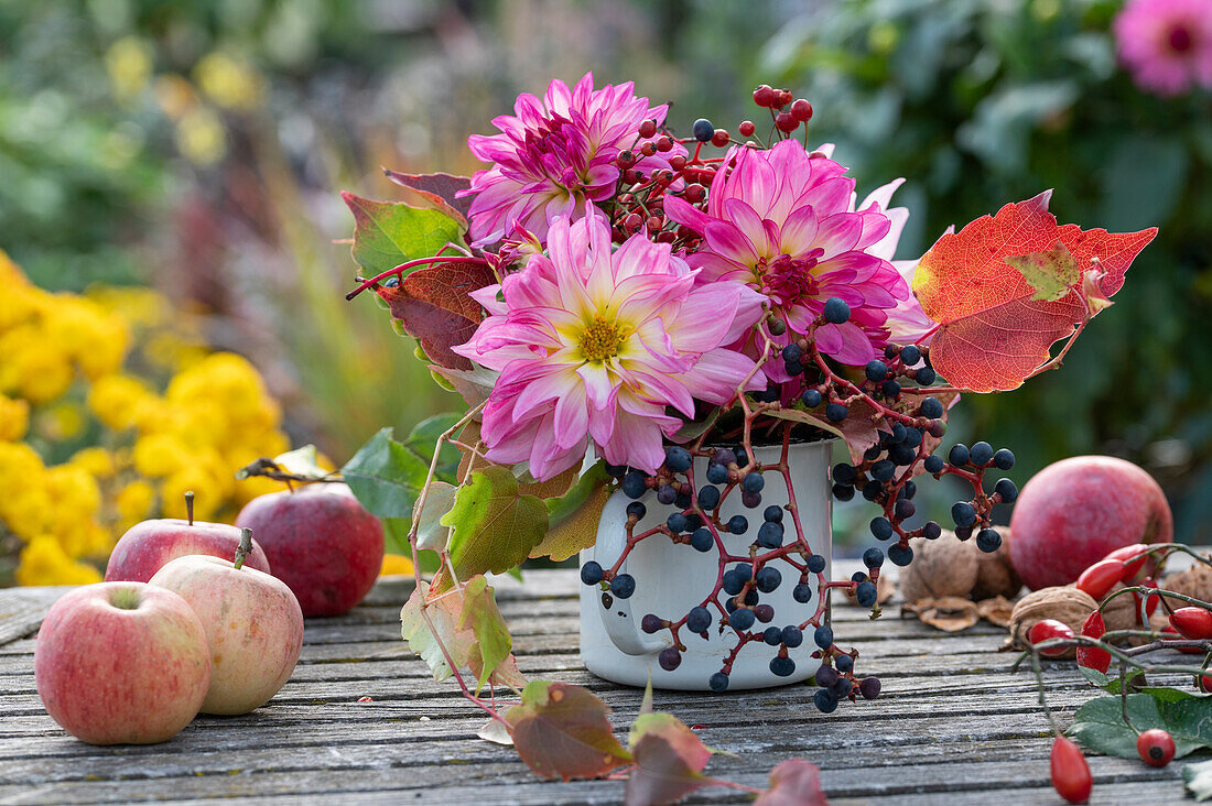 Herbstlicher Blumenstrauss auf Terrassentisch mit Dahlien (Dahlia), Äpfeln und Wilder Wein (Parthenocissus quinquefolia)