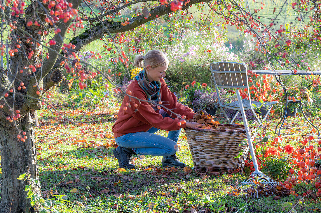 Frau bei Gartenarbeit im Herbst