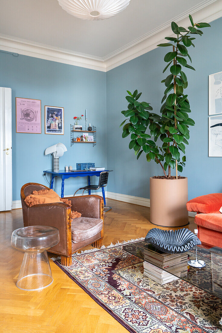 Living room with vintage armchair, light blue walls and large houseplant