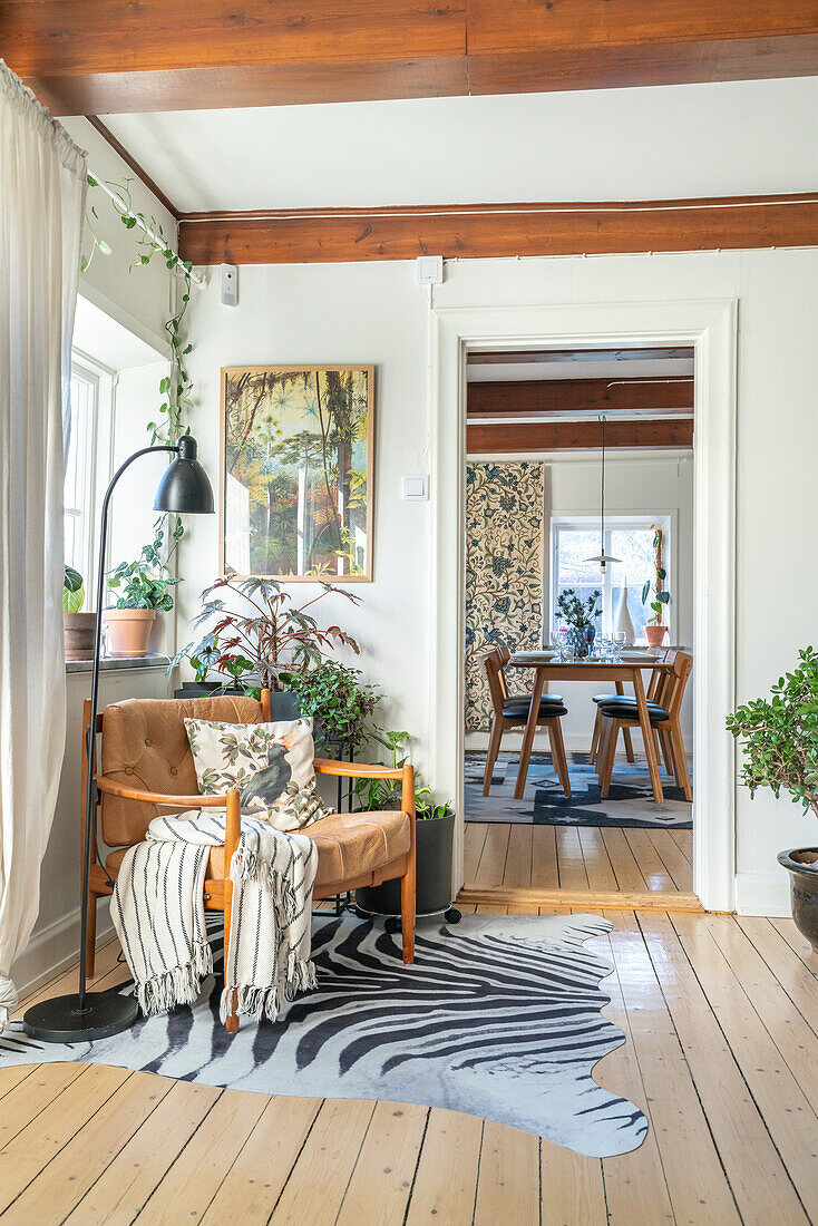 Living room with armchair, plants and zebra-skin rug, view through to the dining area