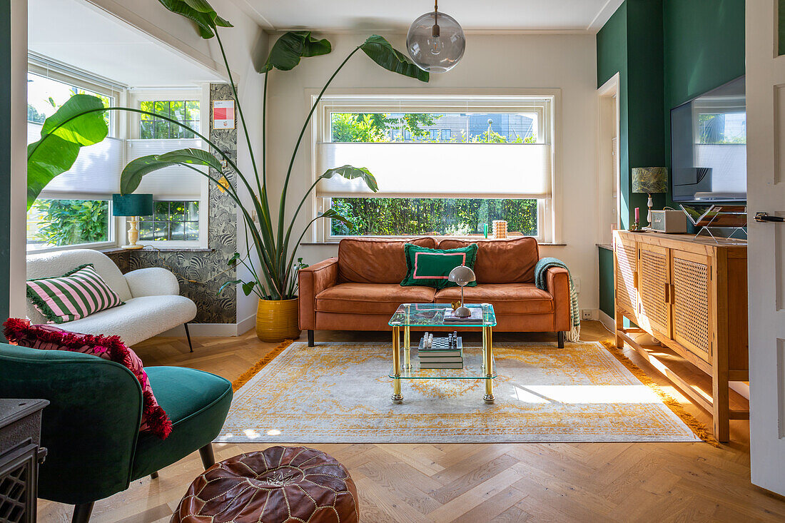 Living room with leather couch and large plant