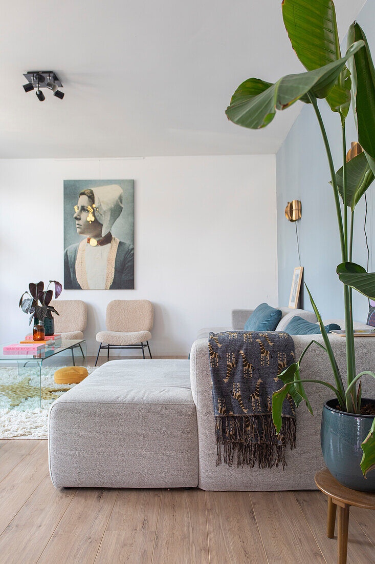 Bright living room with houseplant and large mural