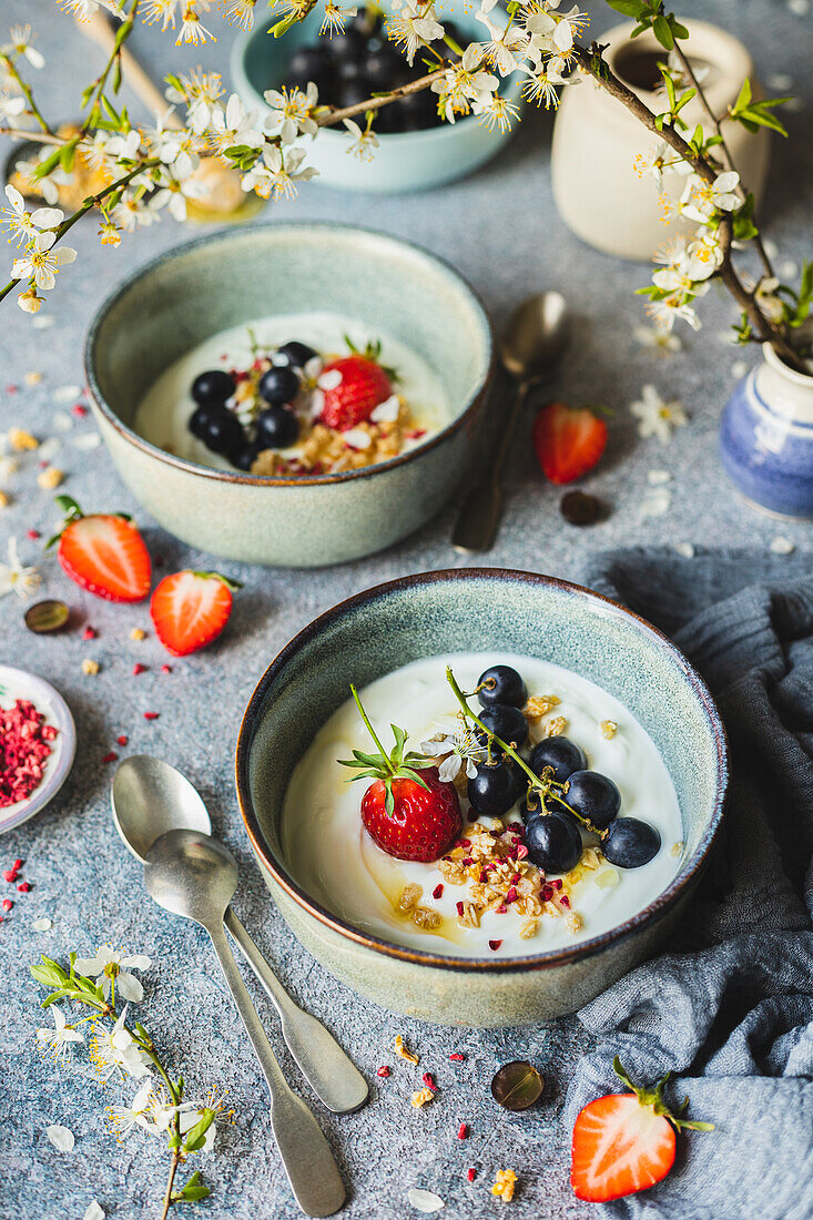 Yogurt with berries