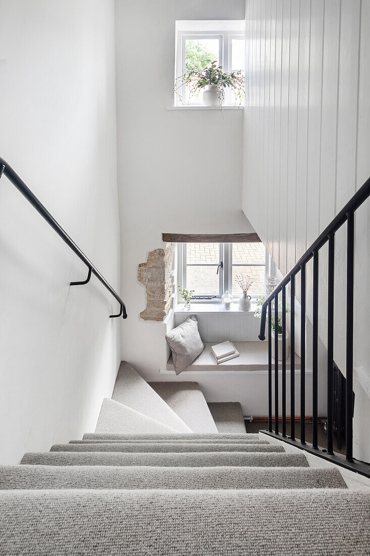 Staircase with carpet and seating area on the windowsill