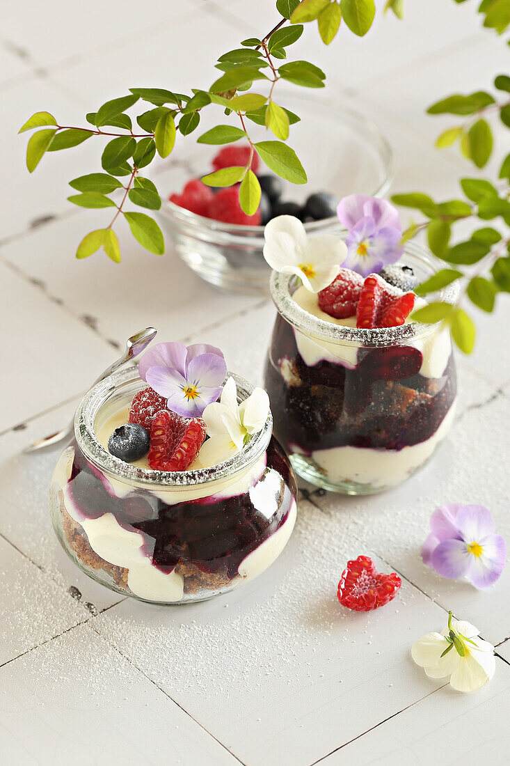 Blaubeer-Trifle mit Schokokeksen, frischen Beeren und weißer Schokoladen-Frischkäsecreme