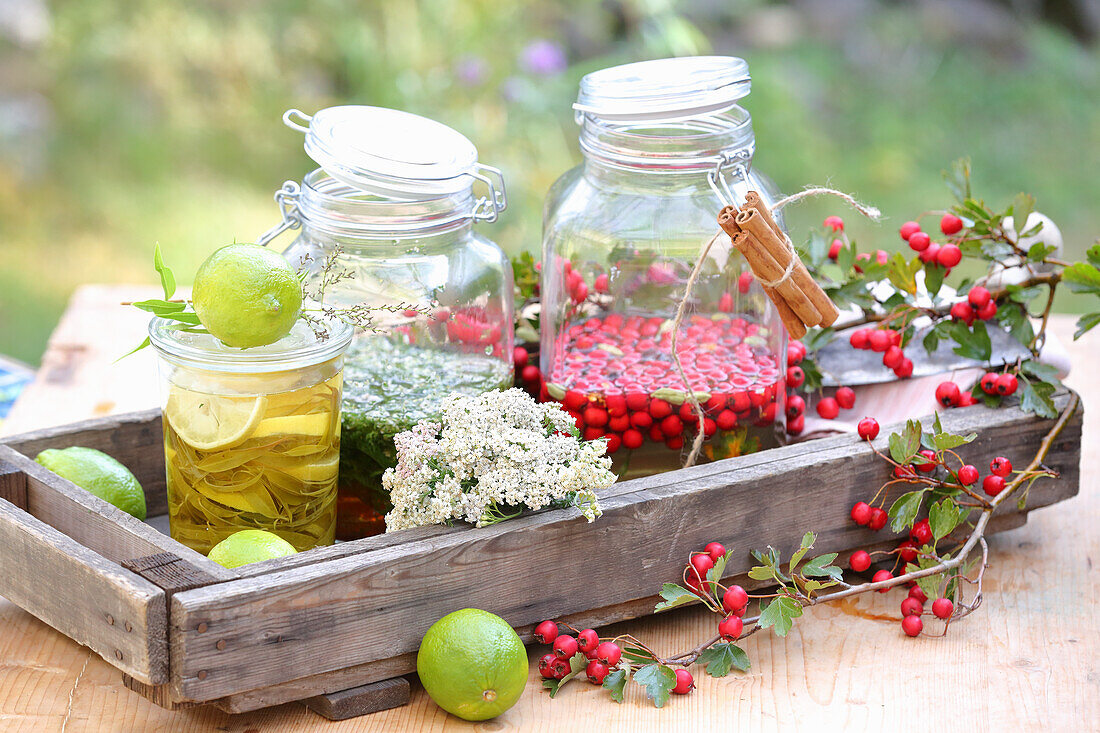 hawthorn liqueur, yarrow liqueur, verbena liqueur