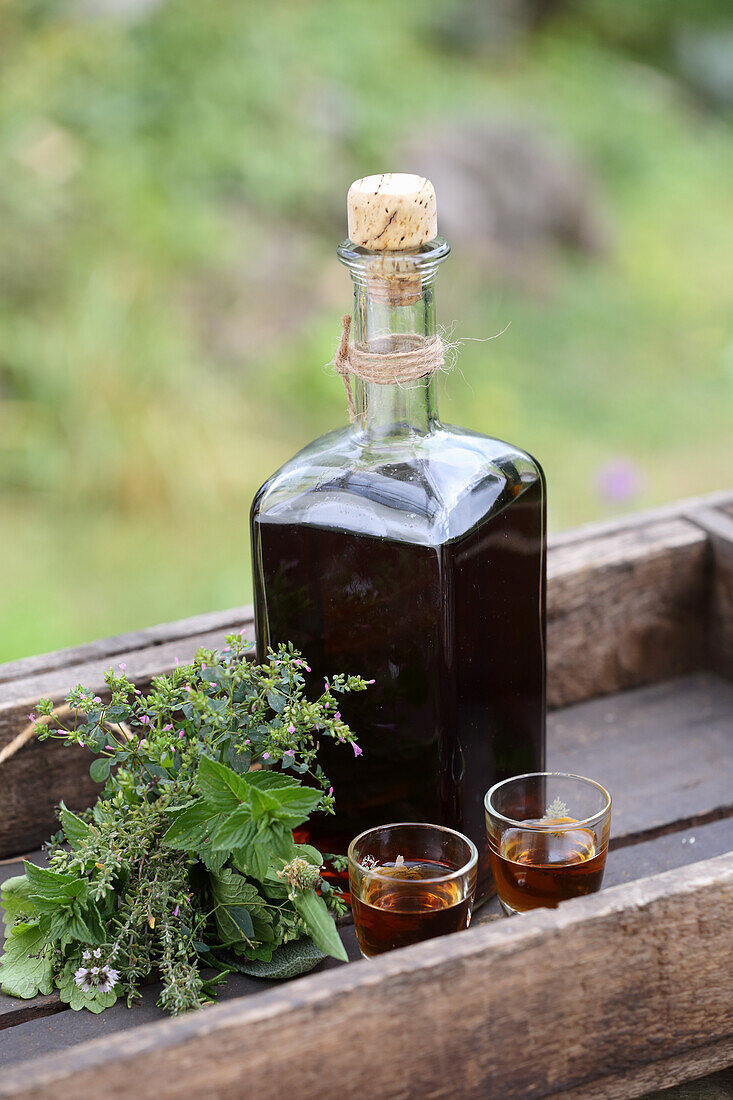 Herbal liqueur for exhaustion and immune deficiency