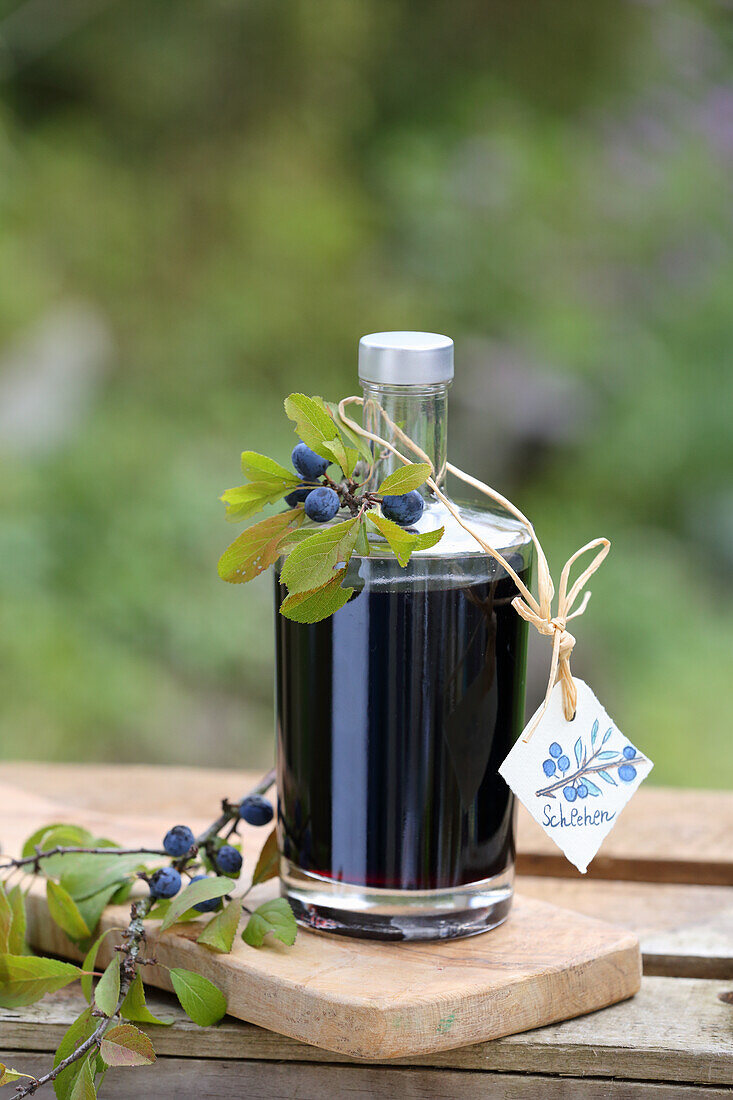 Sloe liqueur for colds and to strengthen the immune system