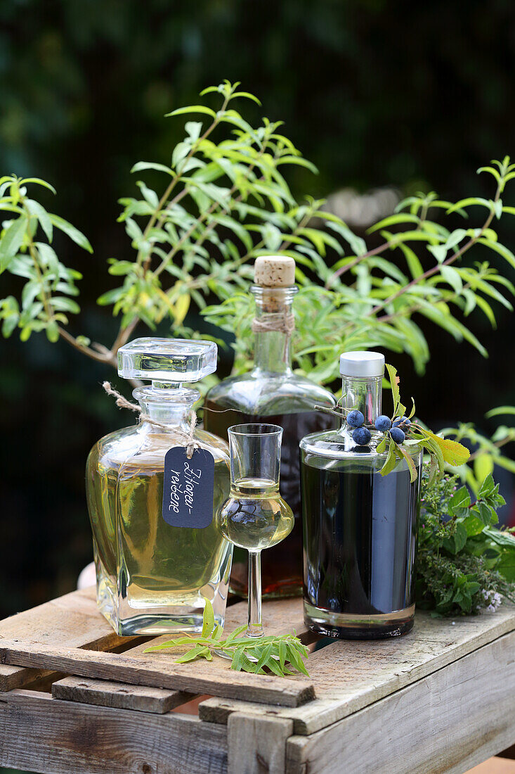 Blackthorn liqueur, herb liqueur, verbena liqueur