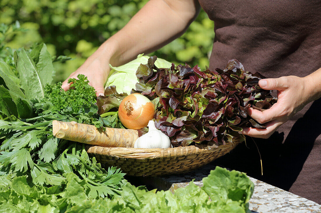 Gemüse mit Heilkraft - Salat, Knoblauch, Meerrettich, Kräuter