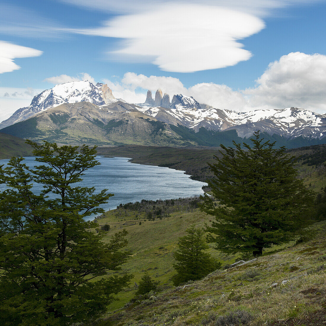 Landschaft des Torres Del Paine Nationalparks; Torres Del Paine, Magallanes und Antartica Chilena Region, Chile