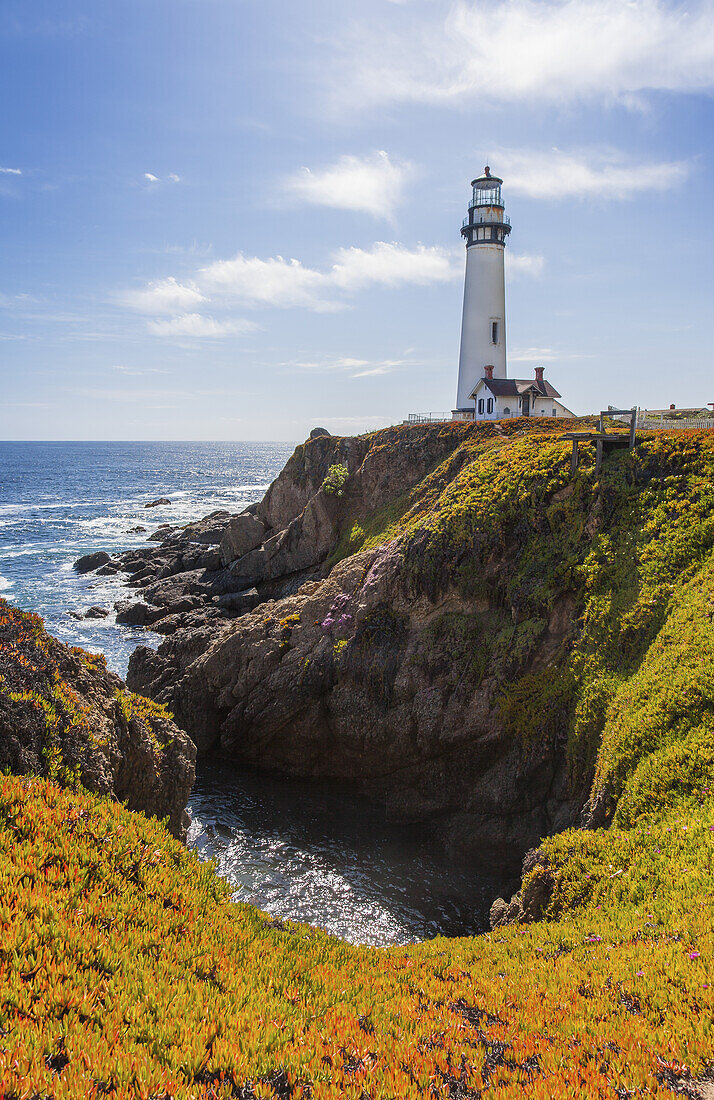 Pigeon Point Lighthouse And Blooming Ice Plant In The Foreground On The Cliffs; California, United States Of America