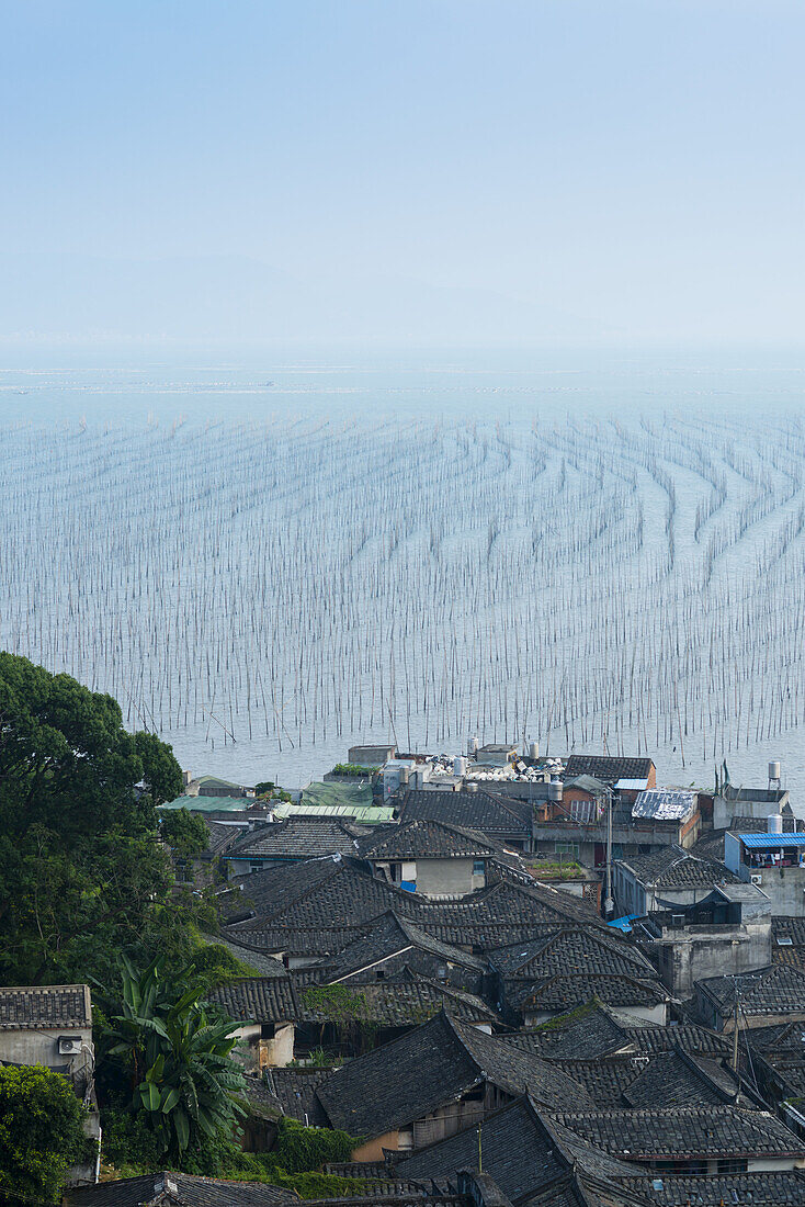 Fishing Village And A Structure Made Of Posts In The Water For Hanging Fishing Nets To Dry; Xiapu, Fujian, China