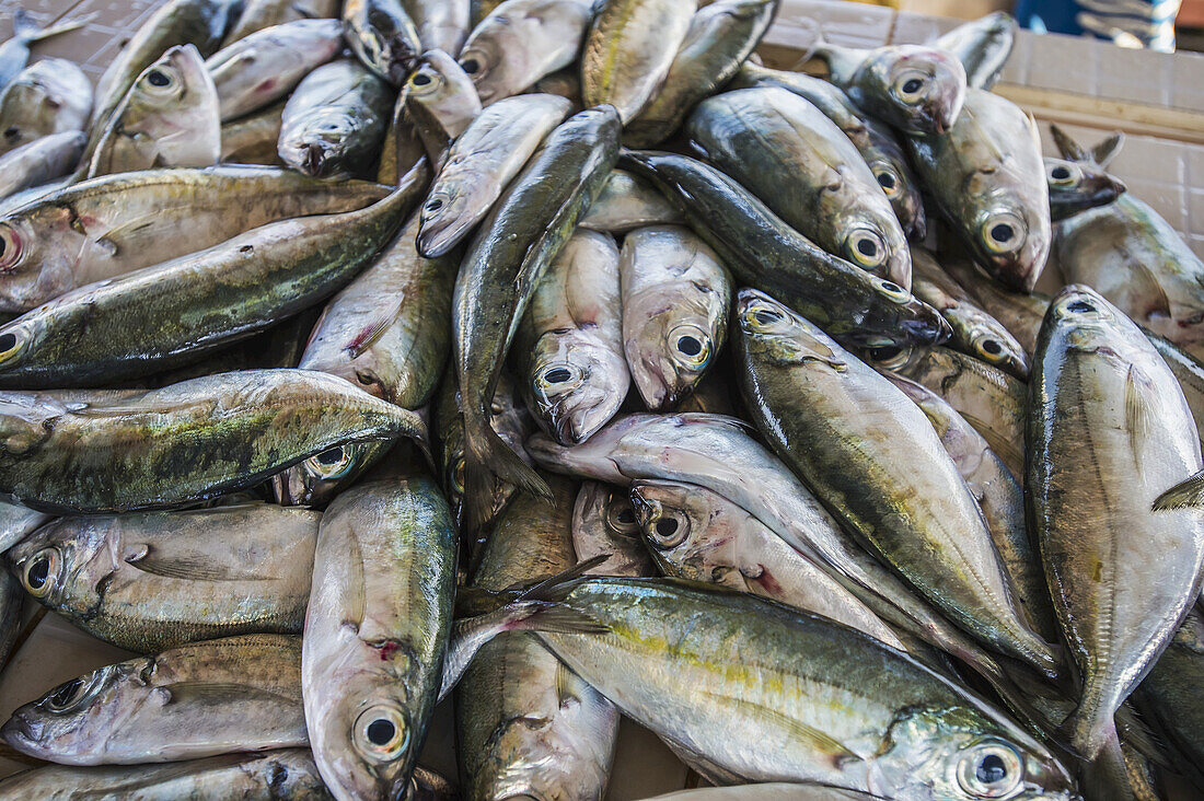 Fish At The Market; Tonga