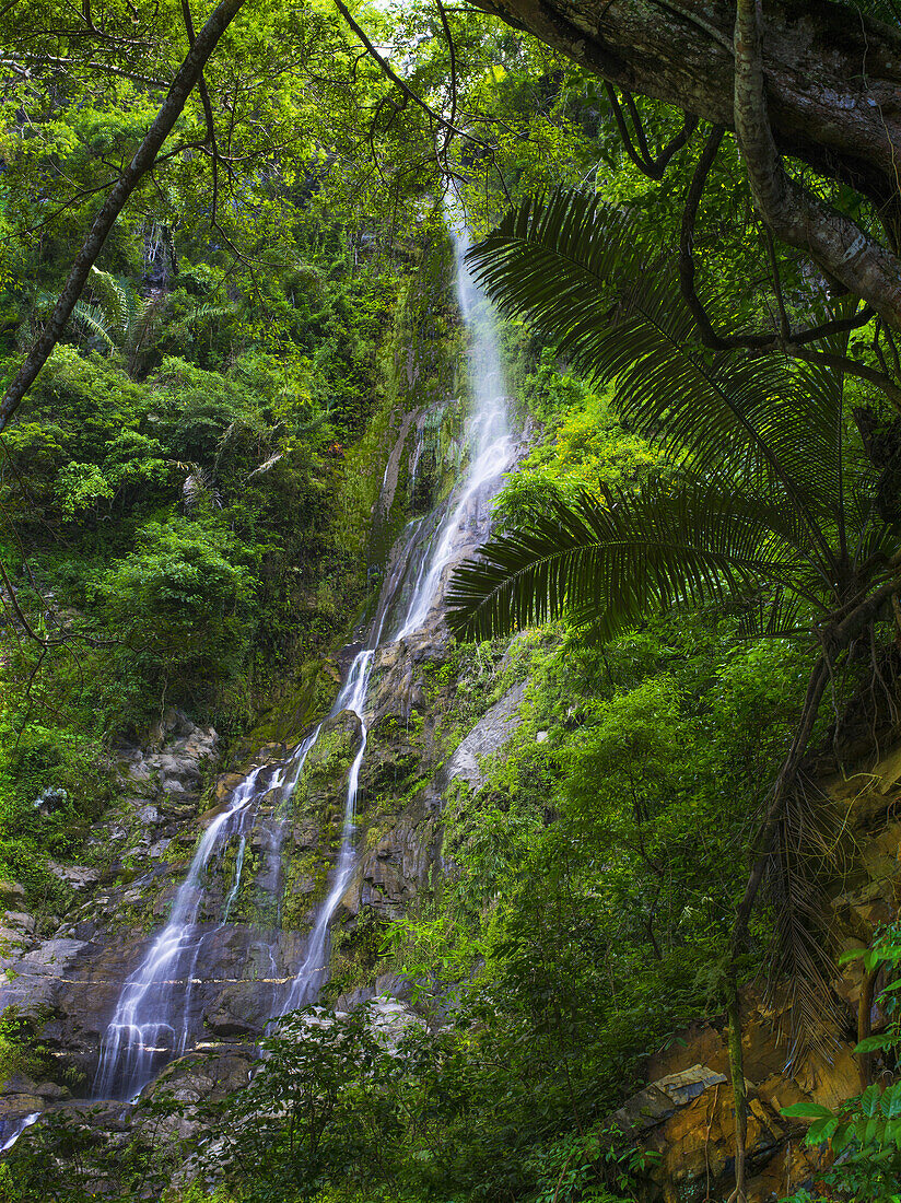 Wasserfall in den Bergen mit üppigem, grünem Laub; Timor-Leste