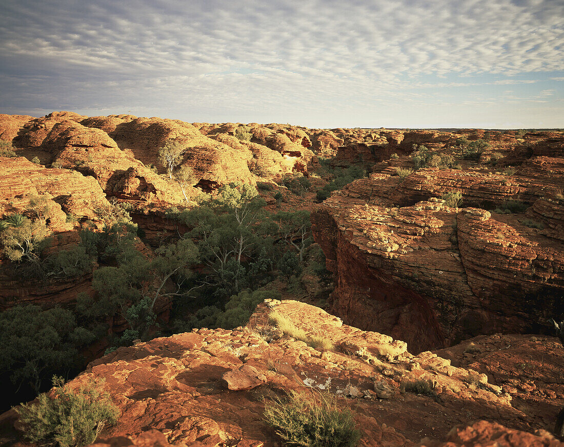 Kings Canyon, Zentralaustralien; Nördliches Territorium, Australien
