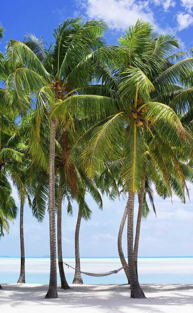 Aitutaki Lagoon Resort, Aitutaki, Cook Islands