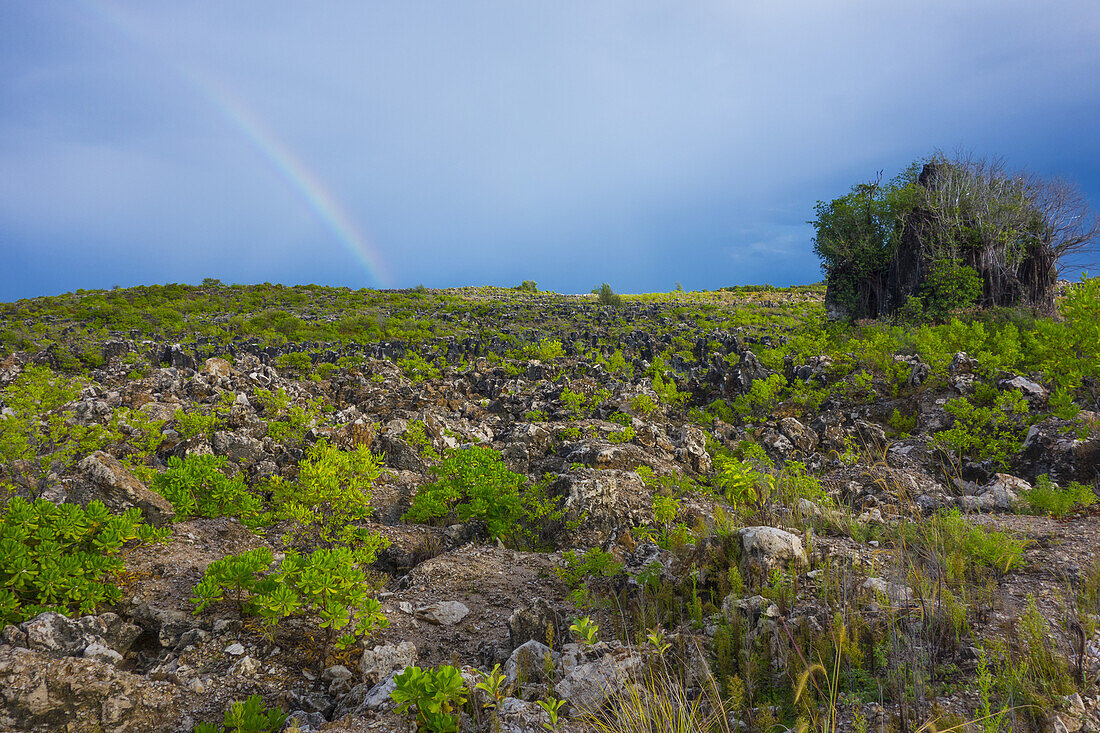 Rugged Interior Of Nauru Island With A Rainbow In Storm Clouds; Nauru