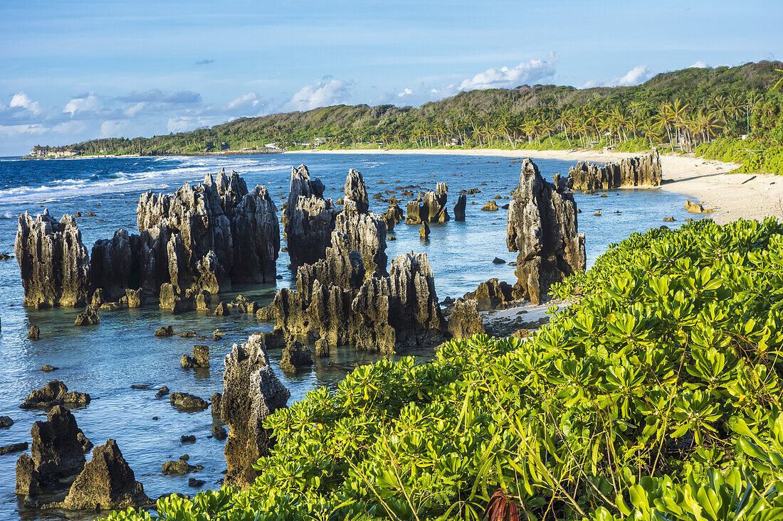 Nauru's Rocky Coastline; Nauru