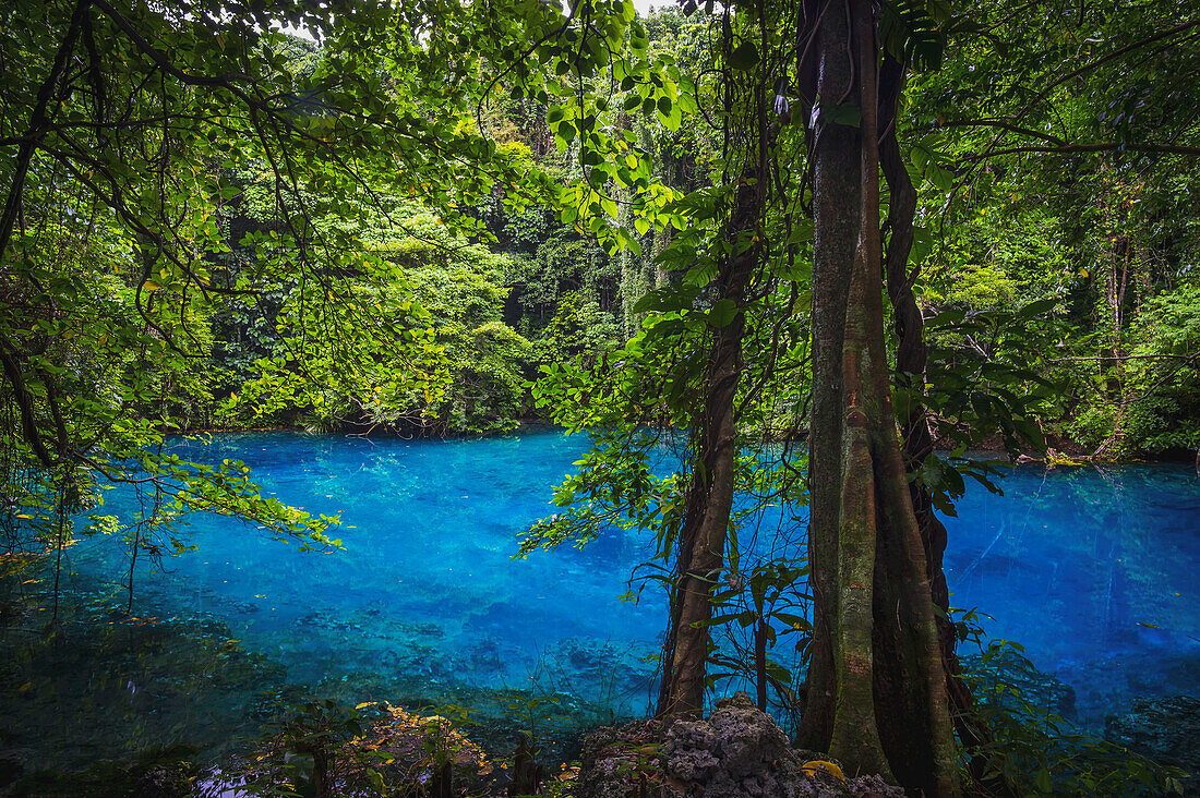 Blaues Loch; Insel Santo, Vanuatu
